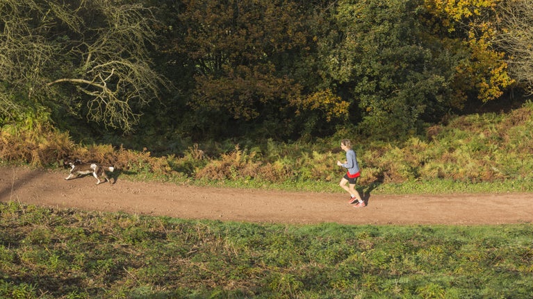 A visitor runs on a trail alongside trees with her dog a short distance ahead of her at Clent Hills, Worcestershire.